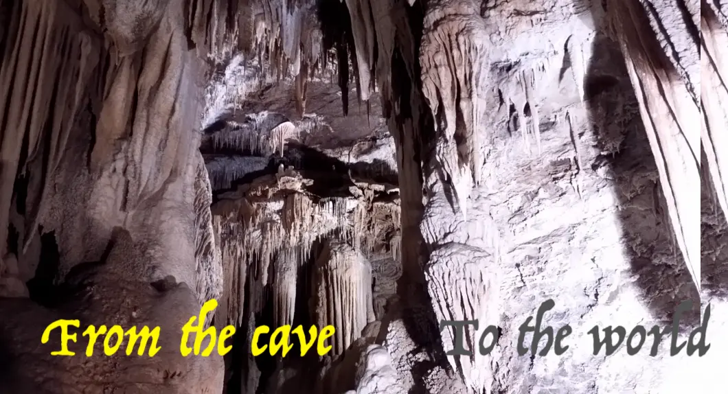 Developer Cave